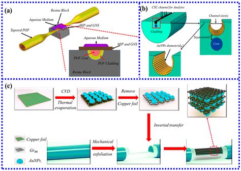 Biosensors Free Full Text Recent Advancements Of Lspr Fiber Optic