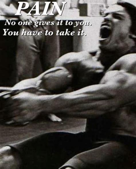 Arnold Gym Pain Quotes. QuotesGram