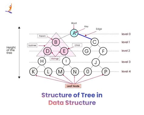 Introduction to tree | Calculate Height of a Tree - Intellipaat