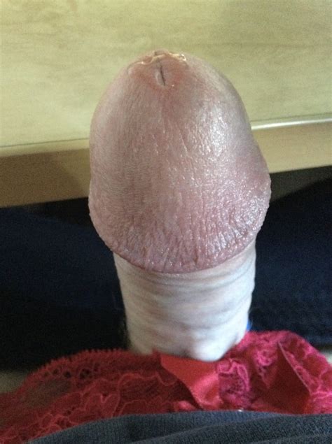 Sarah Cd Short Dress And Lingerie Pics XHamster