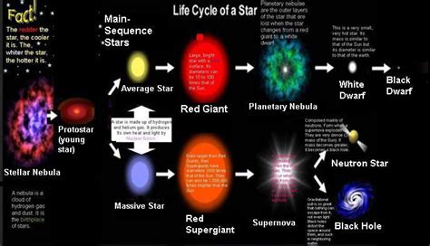 Life Cycle Of A Star Flowchart