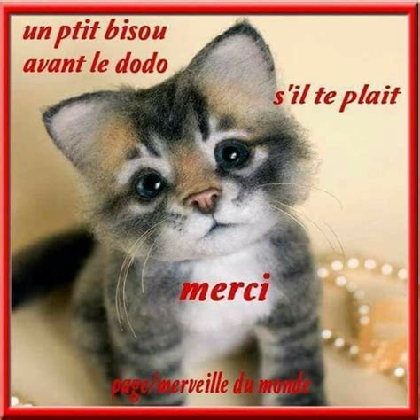 Pingl Par Jinveaux Therese Sur Animaux Adorables Bonne Nuit Bisous