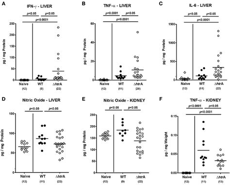 Frontiers The Role Of Serine Protease Htra In Acute Ulcerative