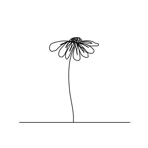 Continuous Line Simple Daisy Flower Chamomile Abstract Minimal