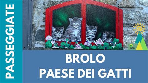 Brolo Il Paese Dei Gatti Youtube