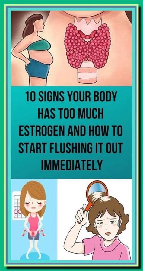 10 Warning Signs Of Estrogen Dominance And How To Start Flushing It Out In 2024 Too Much