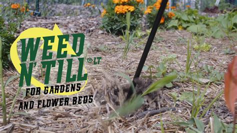 Weed N Till Lt Drill Powered Weeding And Tilling Tool For Gardens And