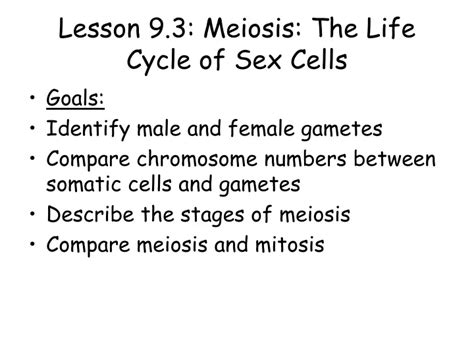 Ppt Lesson 9 3 Meiosis The Life Cycle Of Sex Cells Powerpoint