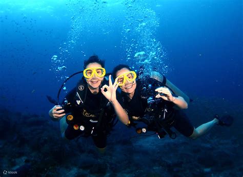 Become An Advanced Diver With Padi Aow Course On Phi Phi Island At Our