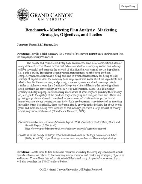 MKT 315 RS T1 Benchmark Marketing Plan Analysis Marketing Strategies