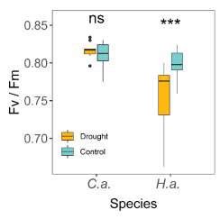 Maximum Photochemical Efficiency Fv Fm Among Different Treatments