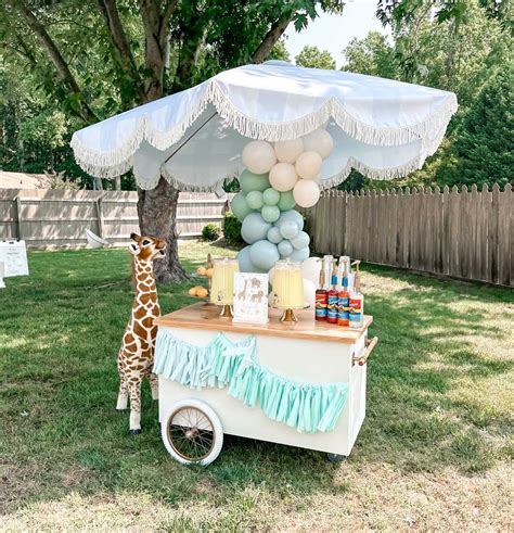 Party Cart - Mini Play | Kid's Party Rentals