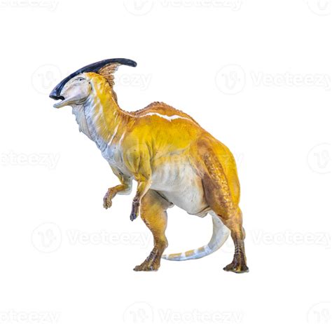 Parasaurolophus Dinosaur Isolated Background 30815282 Png