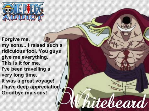 28 Powerful One Piece Quotes That Will Inspire You