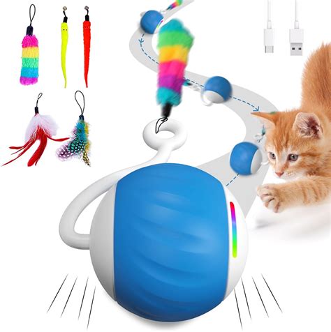 Amazon WAKHJAKT Interactive Cat Toys For Indoor Cats DIY 5 In 1