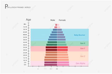 2021 2025 5세대 인구 피라미드 그래프 그림 송곳 인포 그래픽 Png 일러스트 및 벡터 에 대한 무료 다운로드