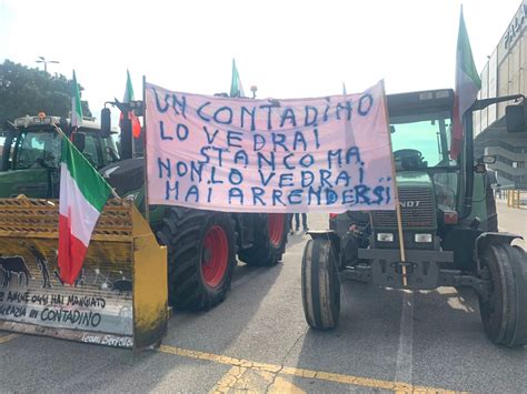 Al Via Fieragricola Di Verona Ai Cancelli Il Presidio Dei Trattori In