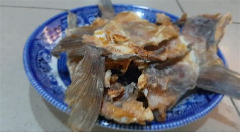 How To Use Stockfish And Its Health Benefits - My Family Pride