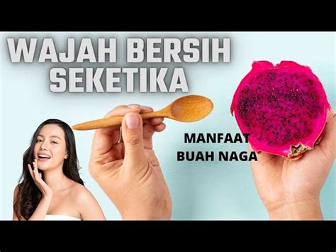 Temukan 5 Manfaat Buah Naga Untuk Kulit Yang Jarang Diketahui Biotifor