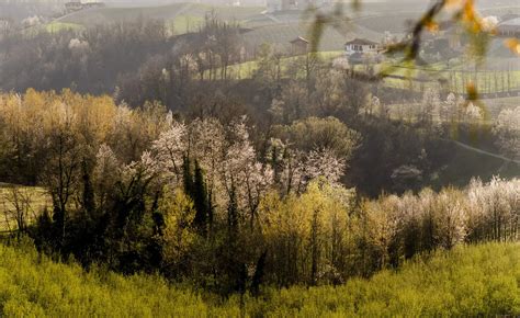 Casa Di Langa Hotel Resort Ecosostenibile Nelle Langhe