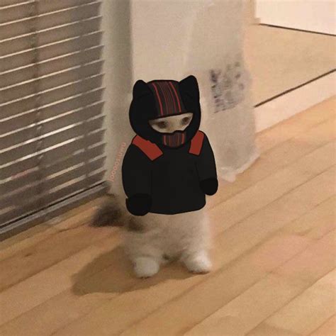 Im Clancy P Ster De Twenty One Pilots Twenty One Pilots Meme Gatito