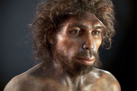 Human Ancestors Nearly Went Extinct 900000 Years Ago