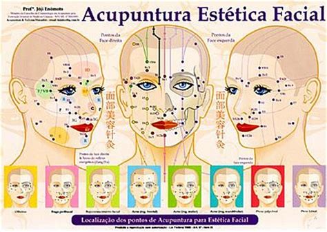 MAPA DA ACUPUNTURA ESTÉTICA FACIAL OFERTA Brasil Oriente Loja de