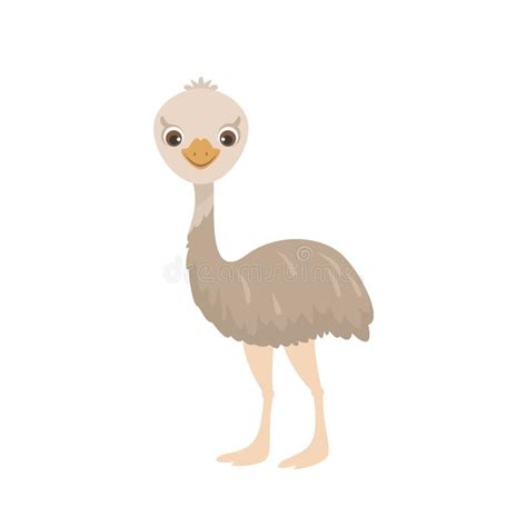 Cute Emu Stock Illustrations 1446 Cute Emu Stock Illustrations