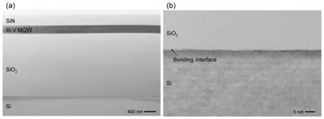 Cross Sectional Transmission Electron Microscopy Tem Image Of The