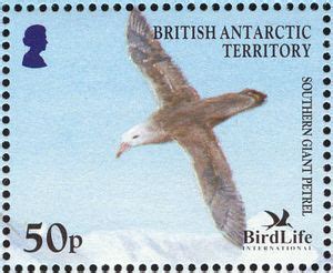 Stamp Southern Giant Petrel Macronectes Giganteus British Antarctic