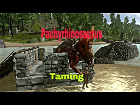 Pachyrhinosaurus Taming Ark Mobile Taming Series YouTube