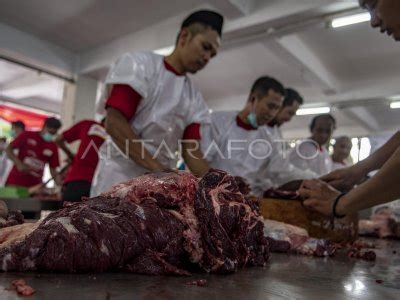 Pemotongan Hewan Kurban Di Masjid Istiqlal ANTARA Foto