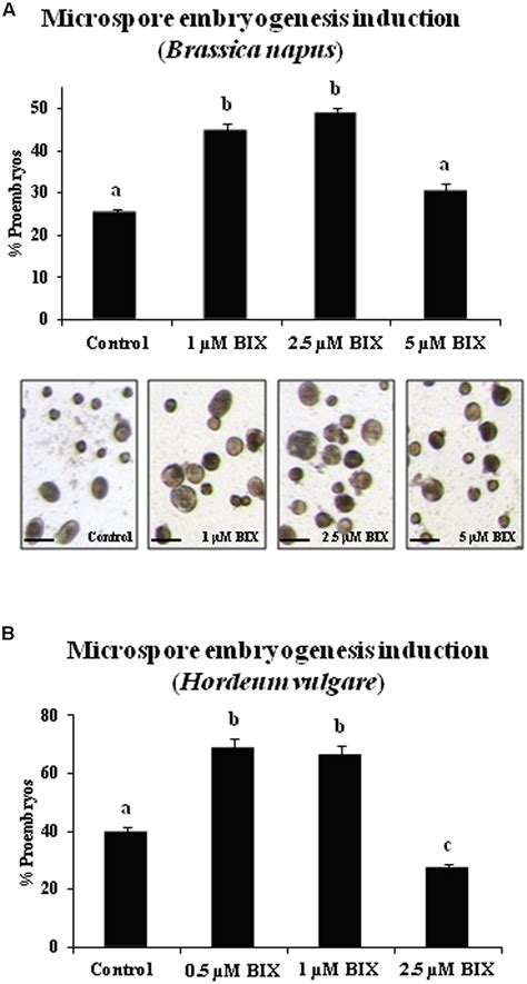 Frontiers Inhibition Of Histone H3k9 Methylation By Bix 01294