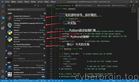 ESP32开发指南一刷MicroPython固件使用VSCode开发 CyberBrain top