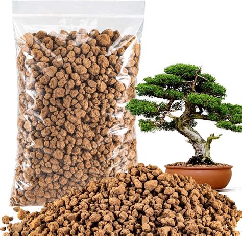 Bonsai Potting Mix Near Me Toletdigital