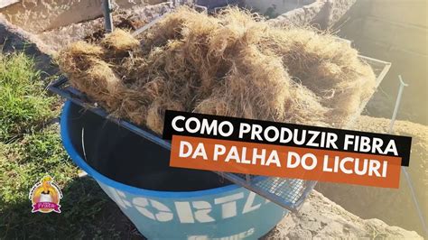 Como Produzir Fibra Da Palha Do Licuri Youtube