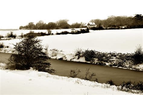 Bleak Landscape. by Terence Davis