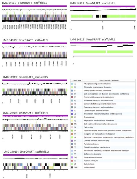 Graphical Map Of The Genome Of Ensifer Arboris Lmg T Showing The