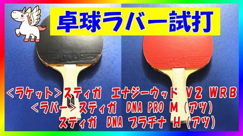 卓球試打スティガ エナジーウッド V2 WRBSTIGA ENERGY WOOD V2 WRBDNAプロ MDNA PRO M