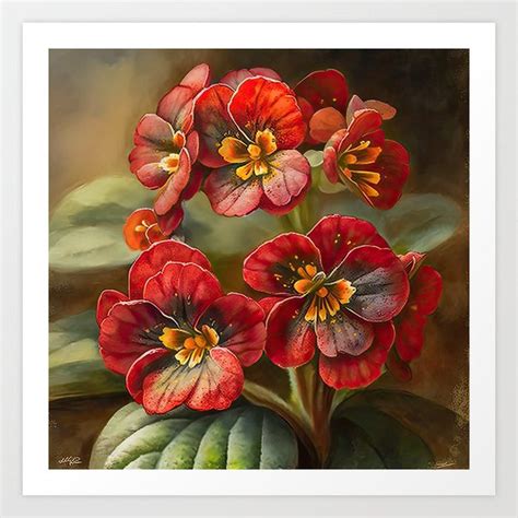 Red Primrose Art Print By VanoverDesigns Flower Art Red Art Print