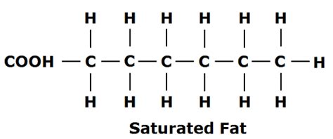 Fatty Acids: Fatty Acids Saturated