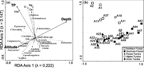 Redundancy Analysis Rda Biplots Illustrating The Relationship Between Download Scientific