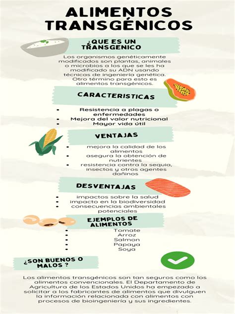 O Que E Alimentos Transgênicos - Infografía sobre alimentos transgénicos | PDF