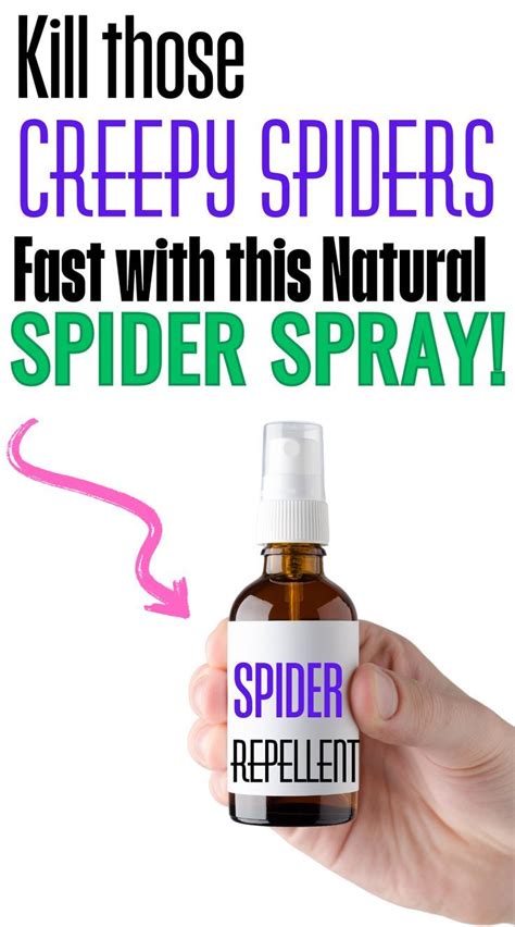 A Bottle Of Homemade All Natural Spider Repellent Spray Spider