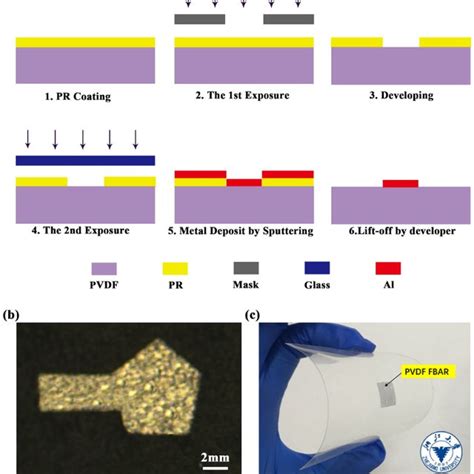 Structures Of α β And γ Phase Polyvinylidene Fluoride Pvdf