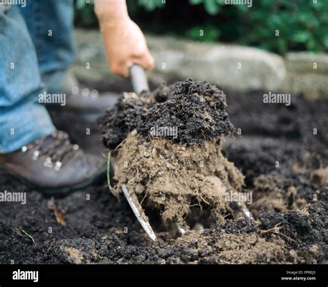 forking  res stock photography  images alamy