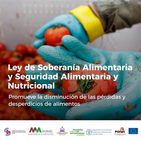 Por qué una Ley de Soberanía Alimentaria y Seguridad Alimentaria y