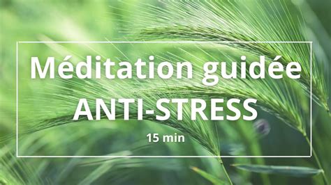 Méditation guidée ANTI STRESS 15 minutes en pleine conscience