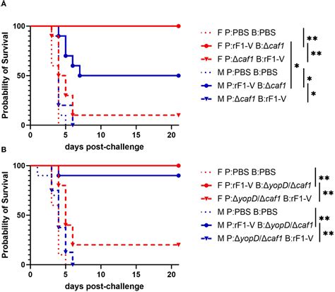 Frontiers Sex Differences In Immune Protection In Mice Conferred By