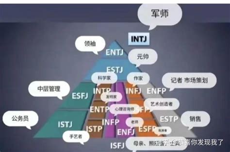 Entj适合的职业有哪些 知乎